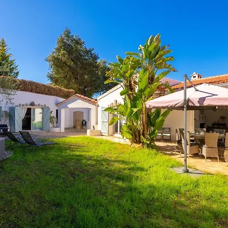 Des Orangers - Vue Avec Piscine