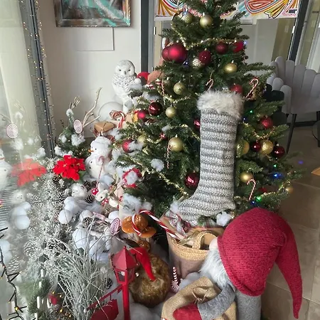 Des Orangers - Vue Avec Piscine * Grosseto-Prugna