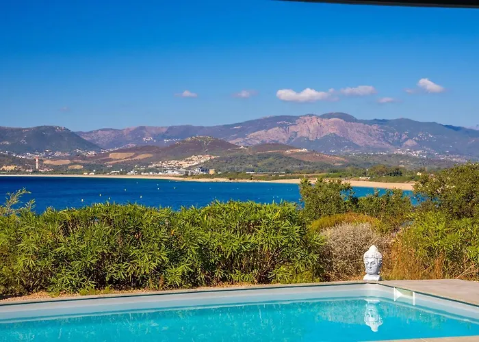 Des Orangers - Vue Avec Piscine