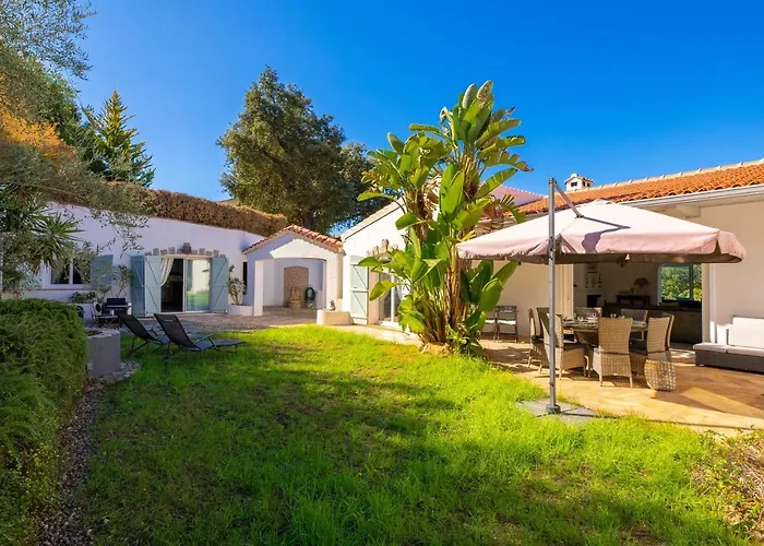 Des Orangers - Vue Avec Piscine